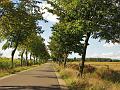 Toeristische rondrit op 29-9-2012 (84)